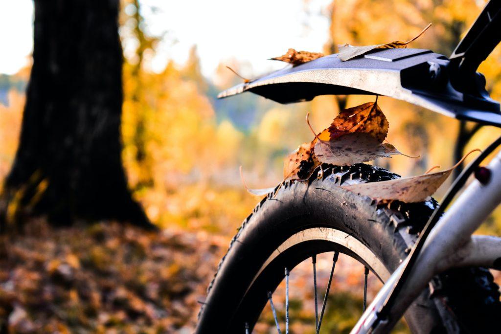 Montage von Schutzblech im Rahmen der Radpflege für den Herbst 
